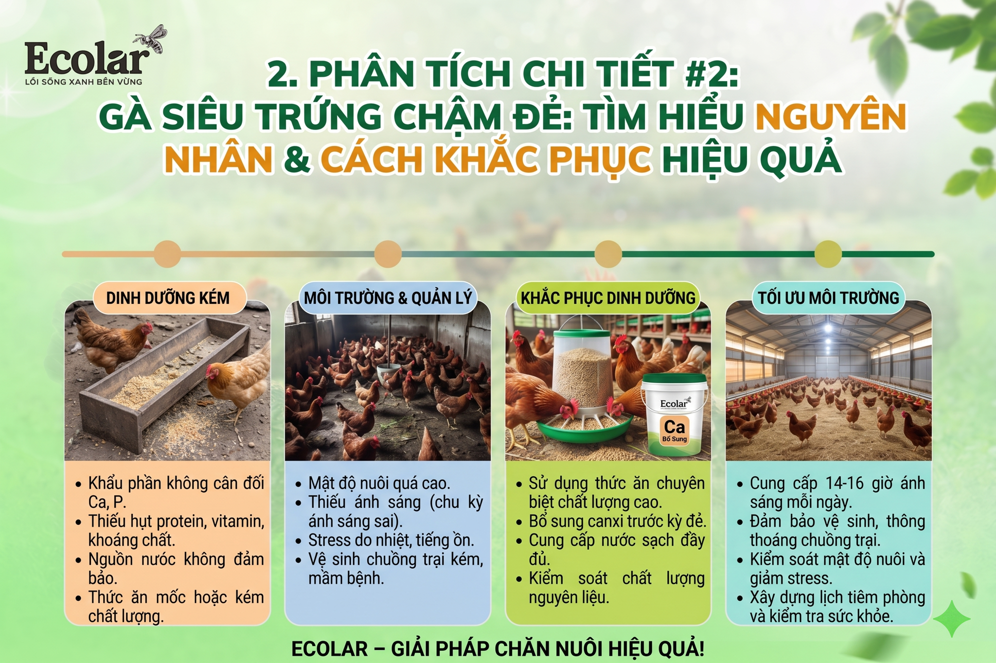 Tìm Hiểu Nguyên Nhân & Cách Khắc Phục Hiệu Quả