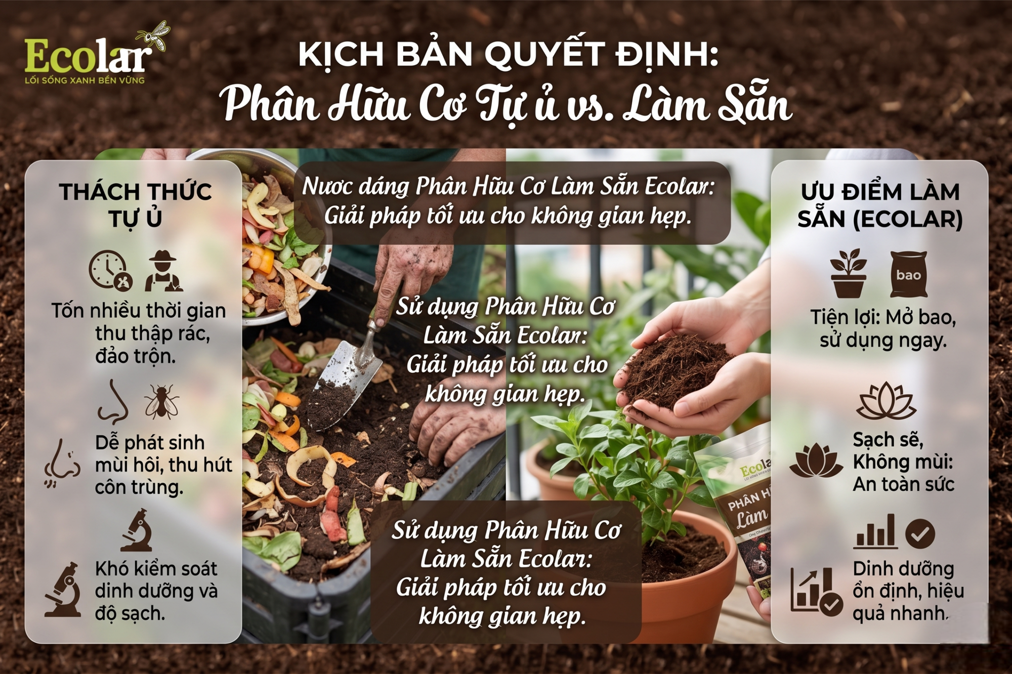 Kịch bản thực tế: Ví dụ quyết định dùng phân hữu cơ làm sẵn