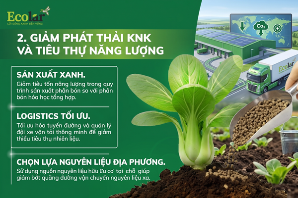 Giảm phát thải khí nhà kính và tiêu thụ năng lượng trong chuỗi cung ứng