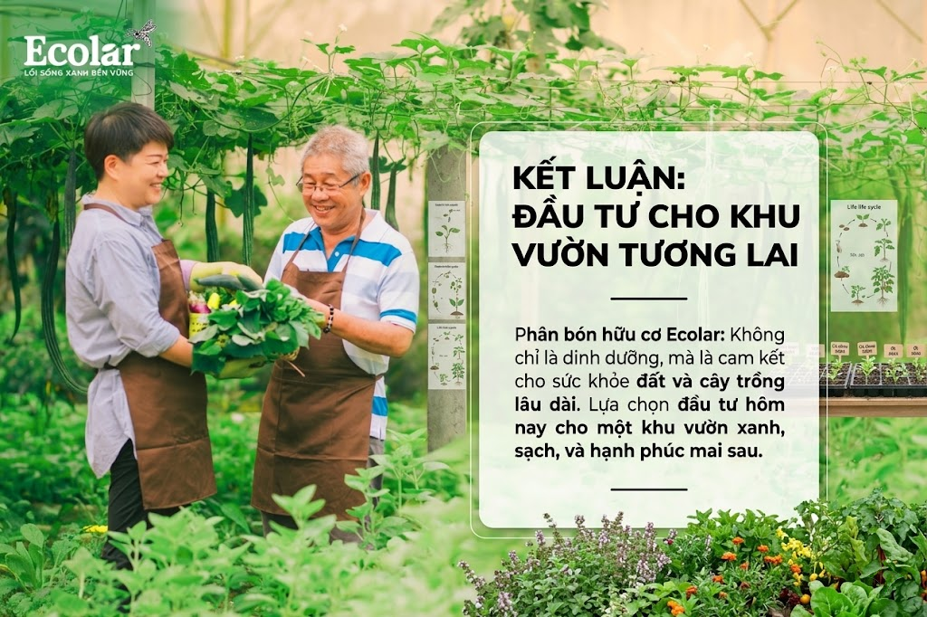 Kết Luận: Phân Bón Hữu Cơ Là Lựa Chọn Đầu Tư Cho Tương Lai Khu Vườn