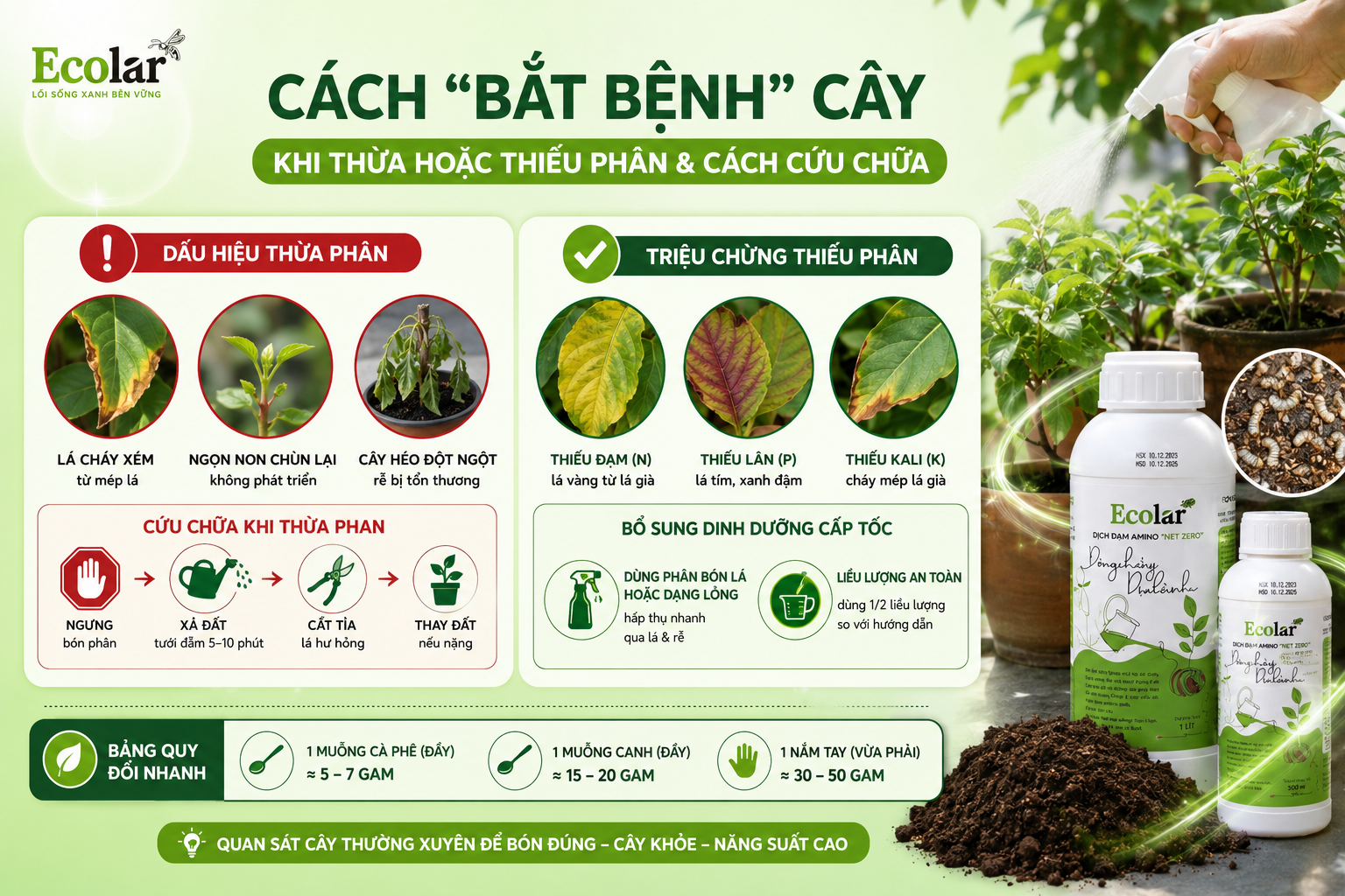Bonus: Cách 