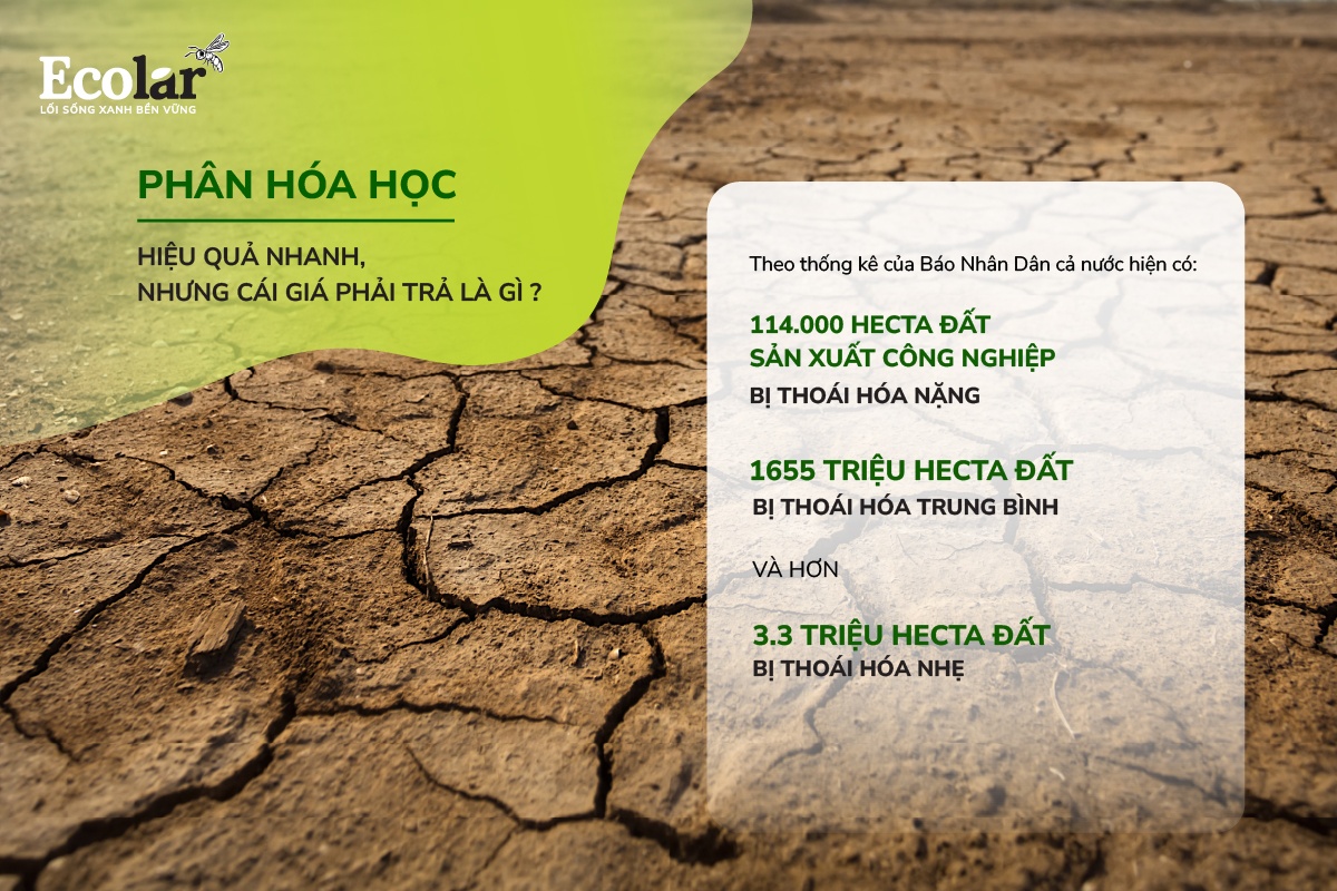 Phân hóa học - Hiệu quả nhanh, nhưng cái giá phải trả là gì?