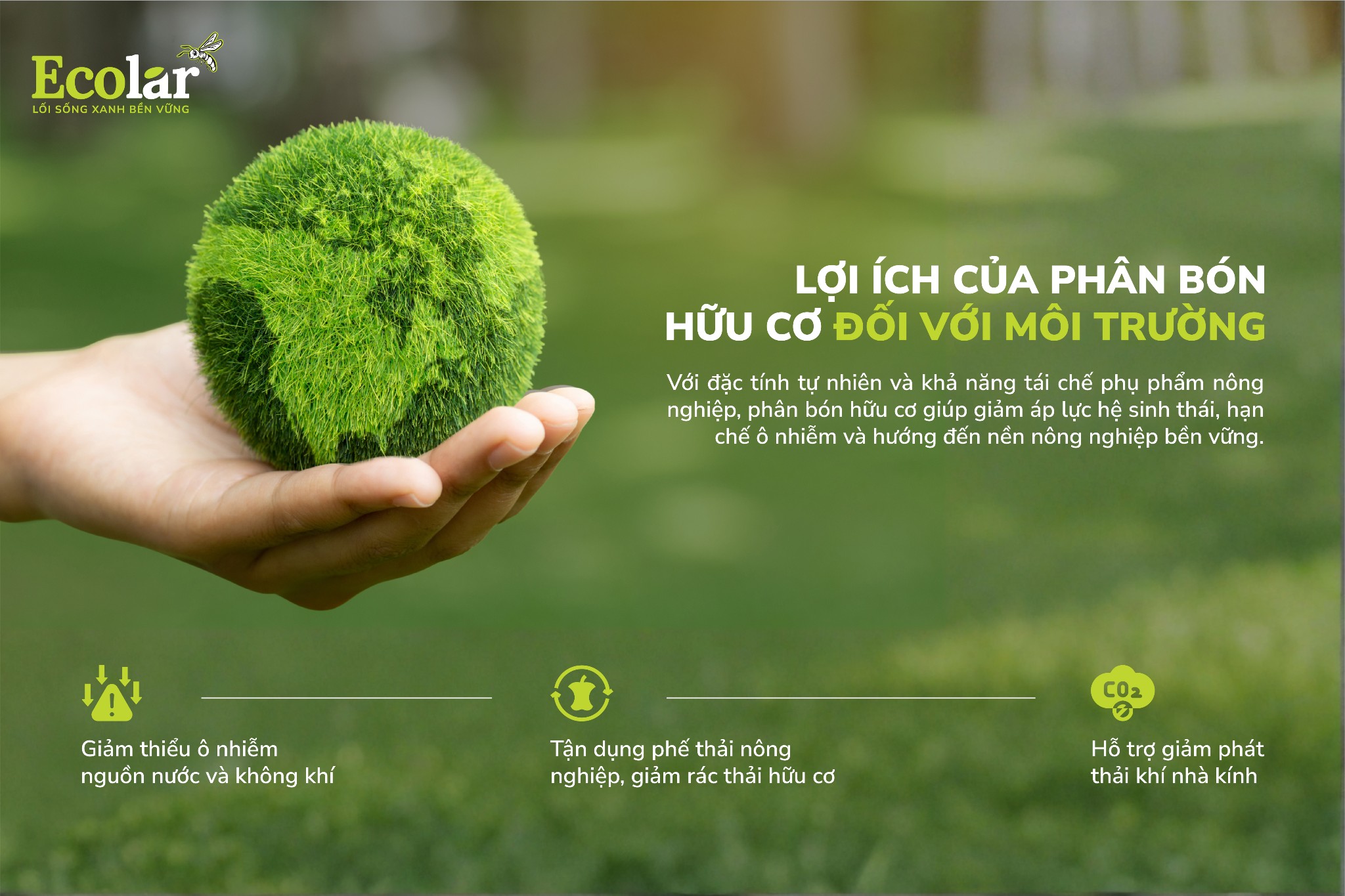 lợi ích của phân bón hữu cơ đối với môi trường