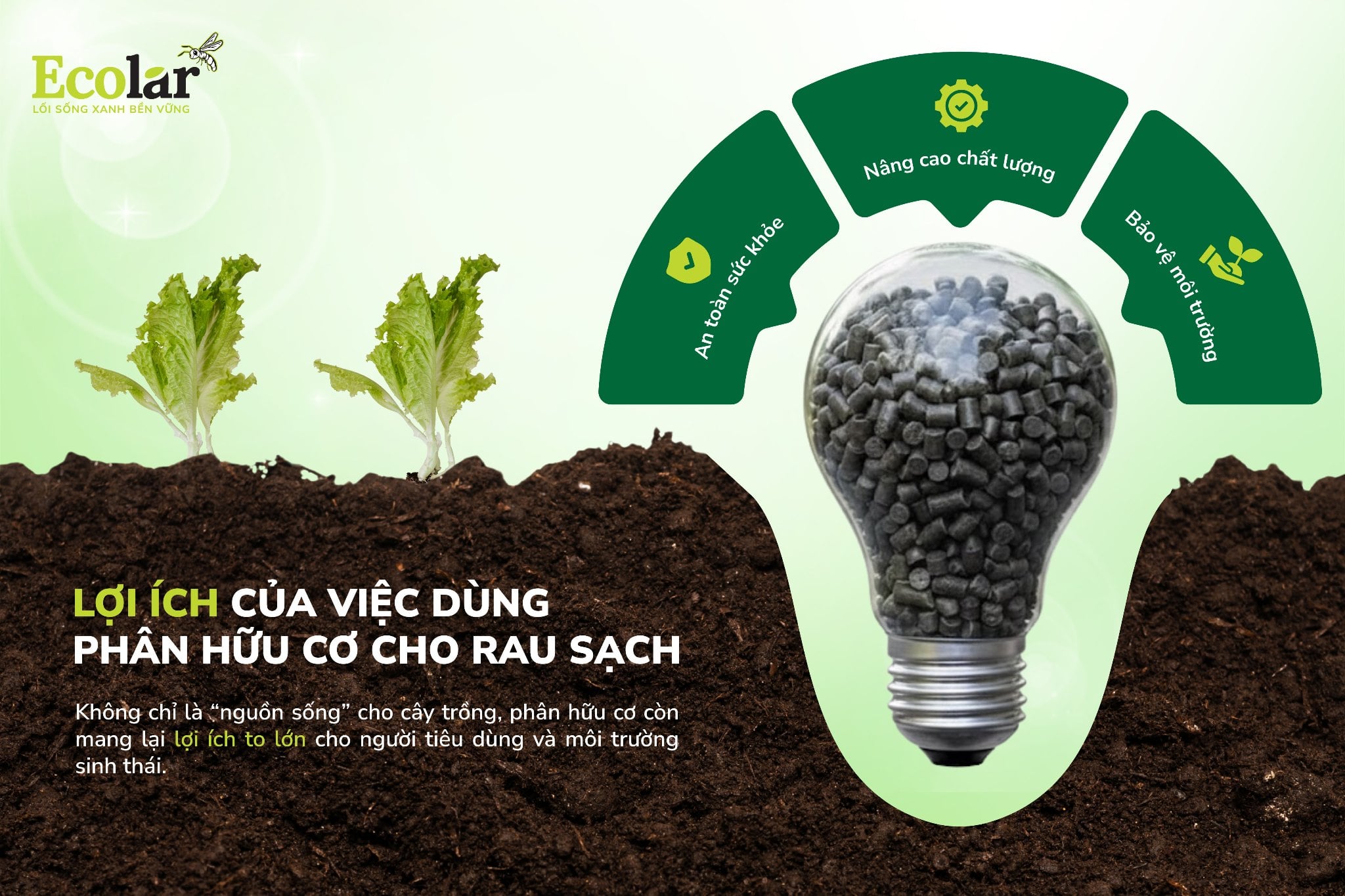 Lợi ích của việc dùng phân hữu cơ sạch cho rau