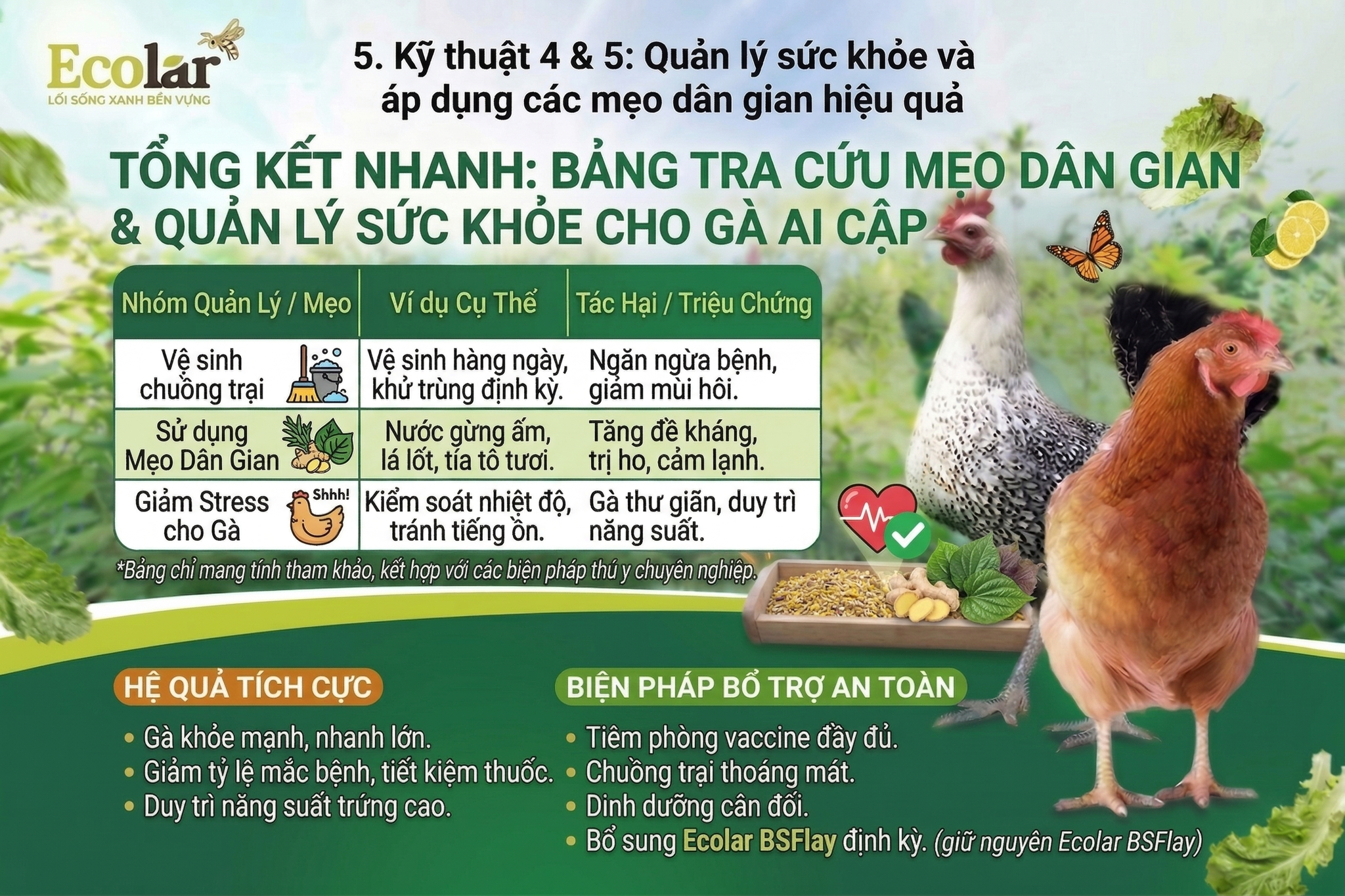 Quản lý sức khỏe và áp dụng các mẹo dân gian hiệu quả