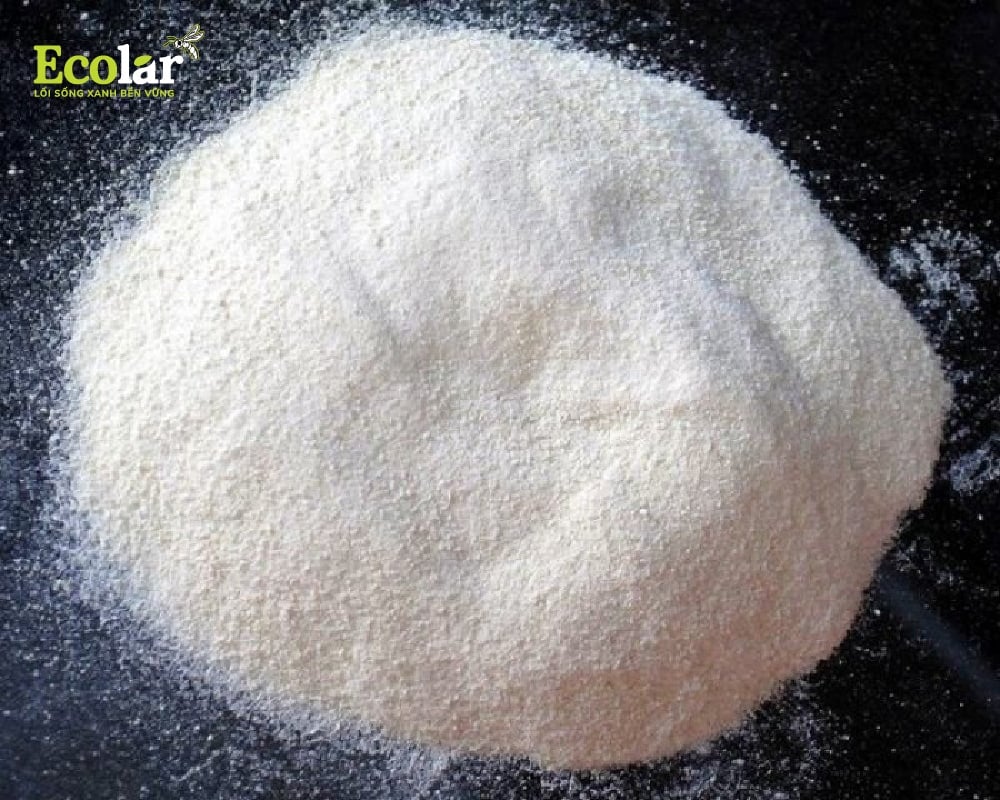 Tiềm năng sản xuất chitosan và các hợp chất sinh học từ ruồi lính đen