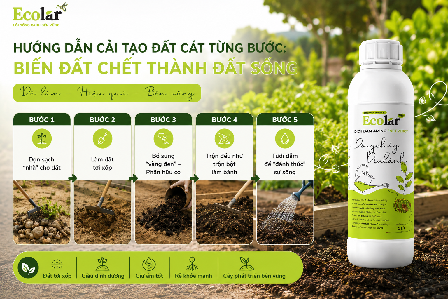 Hướng Dẫn Cải Tạo Đất Cát Từng Bước: Biến Đất Chết Thành Đất Sống