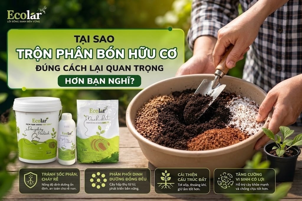 Tại Sao Trộn Phân Bón Hữu Cơ Đúng Cách Lại Quan Trọng Hơn Bạn Nghĩ?