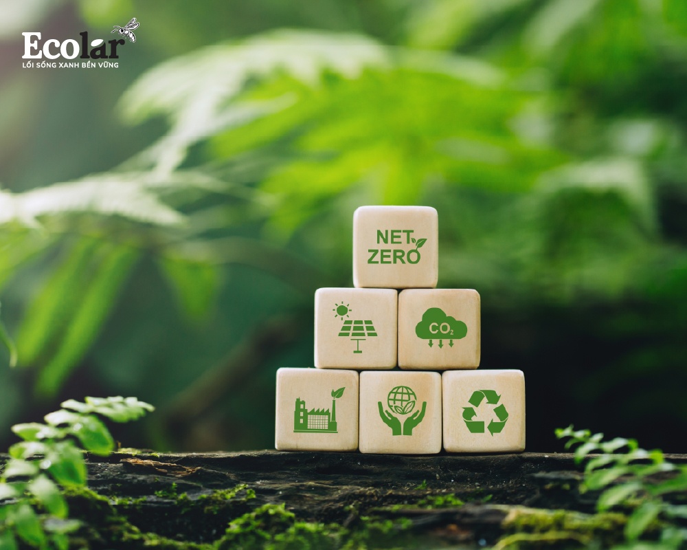 Ứng dụng thực tiễn của peptide từ BSFly trong bảo vệ môi trường