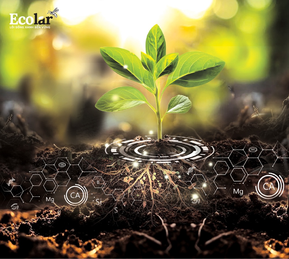 Ứng dụng thực tiễn của peptide từ BSFly trong nông nghiệp