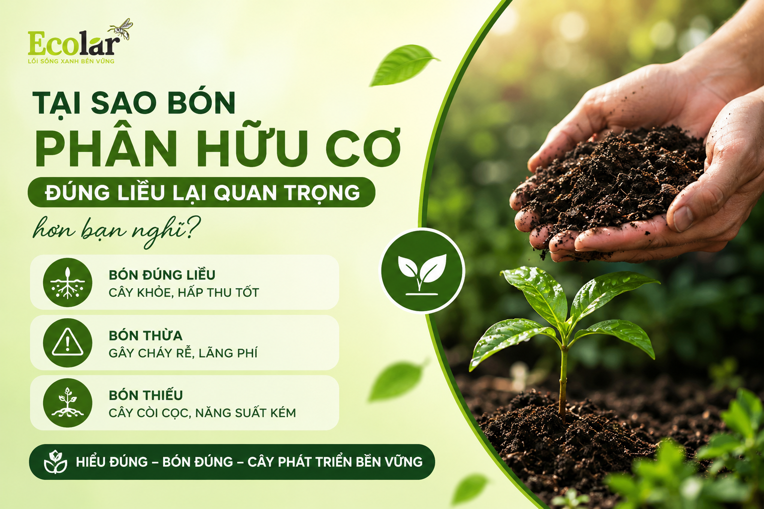 Mở Đầu: Tại Sao Bón Phân Hữu Cơ 