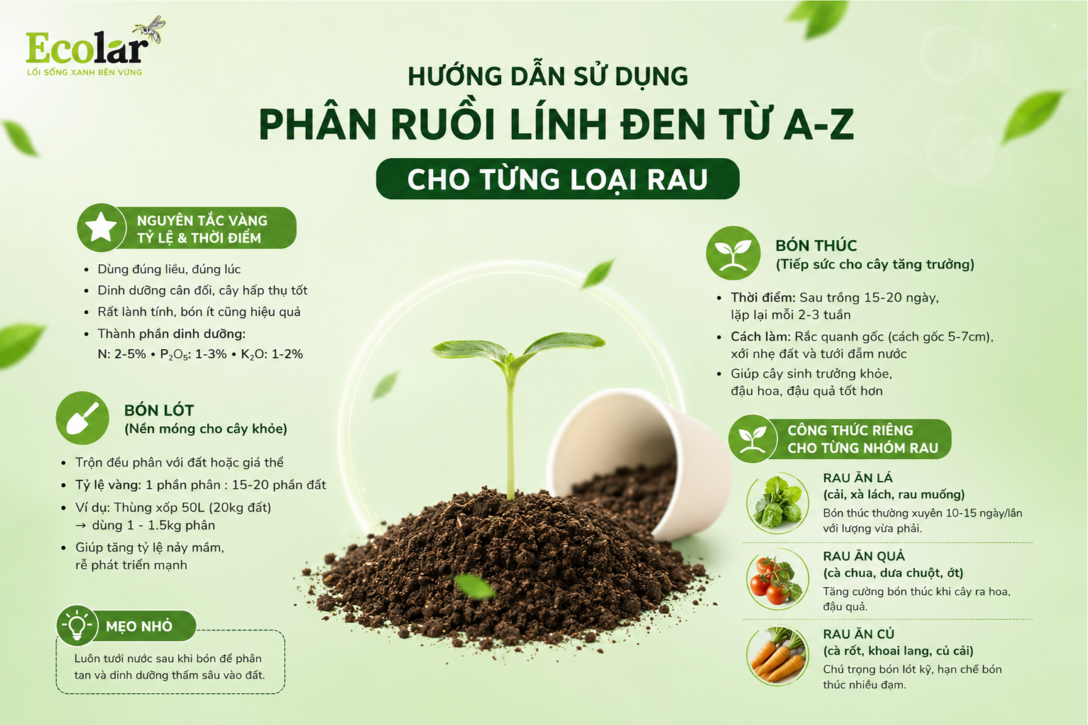 Hướng Dẫn Sử Dụng Phân Ruồi Lính Đen Từ A-Z Cho Từng Loại Rau