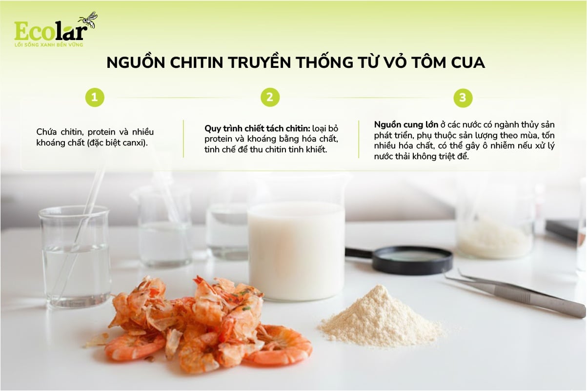 nguồn chitin từ tôm cua