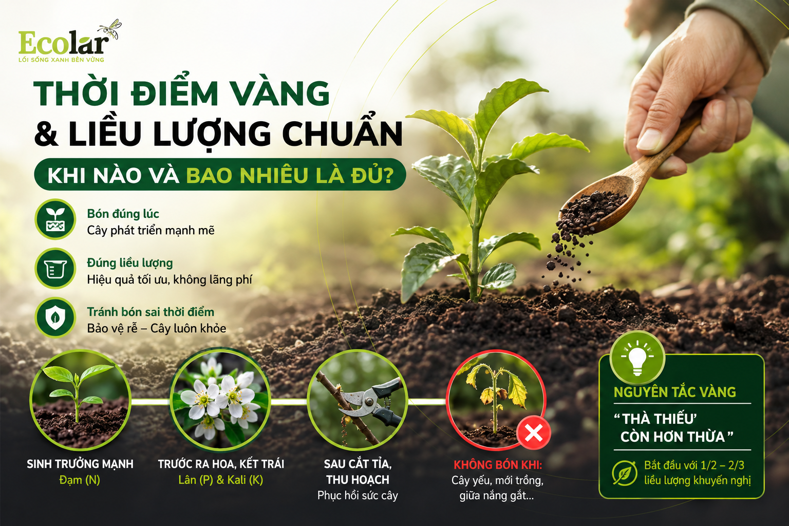 Thời Điểm Vàng & Liều Lượng Chuẩn: Khi Nào và Bao Nhiêu Là Đủ?