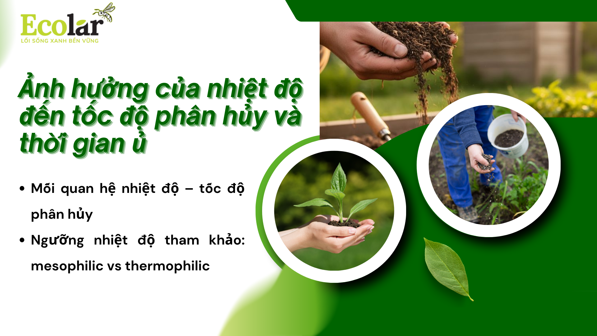 4-anh-huong-cua-nhiet-do-den-toc-do-phan-huy