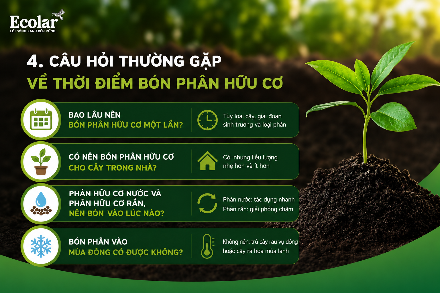Câu Hỏi Thường Gặp Về Thời Điểm Bón Phân Hữu Cơ