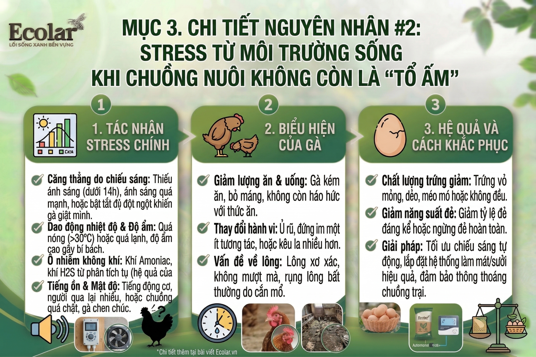 uong-song-chuong-nuoi-khong-con-to-am_68bcf0d97e2d4122a2a599e41d038121.png