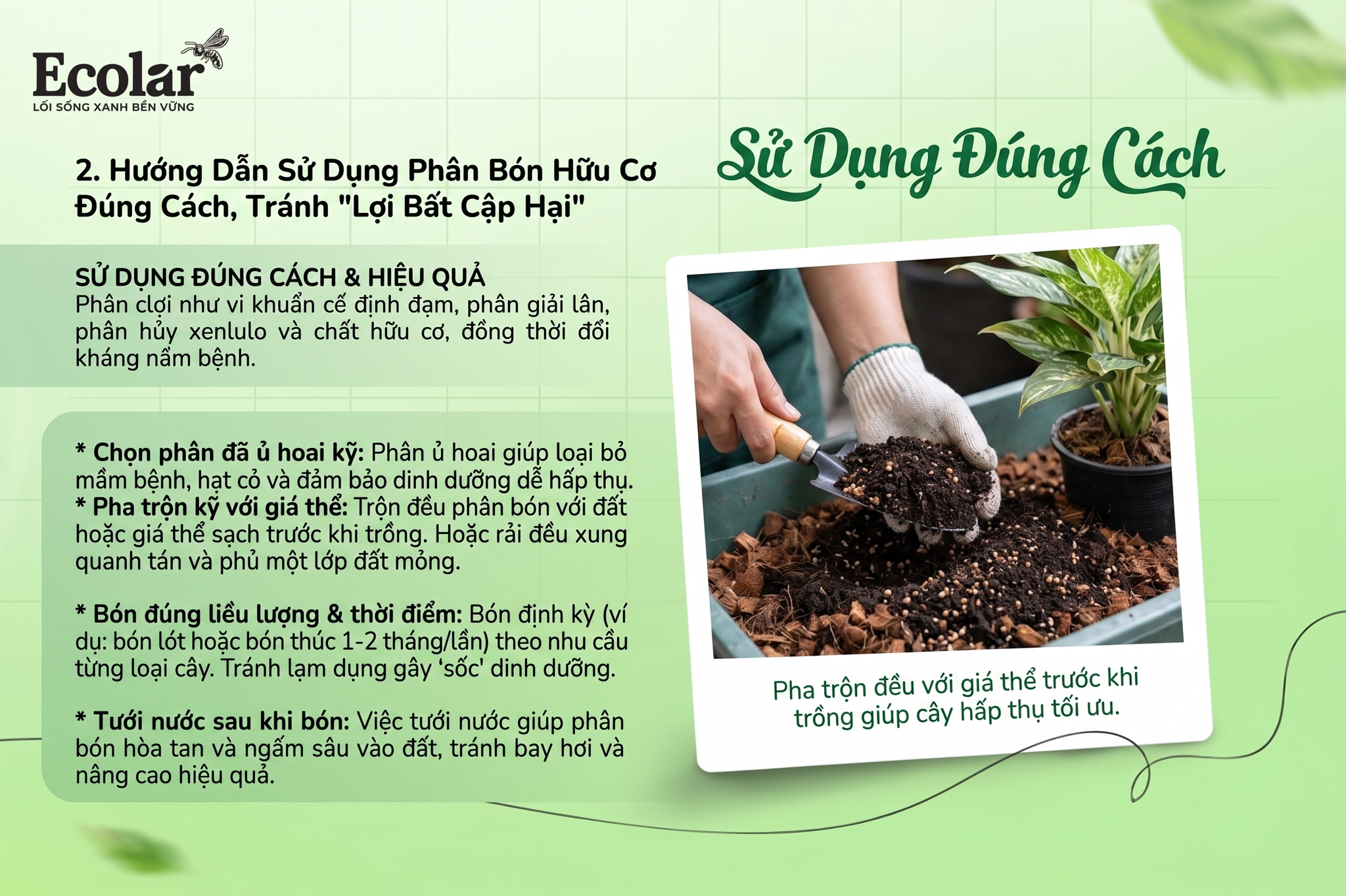 Hướng Dẫn Sử Dụng Phân Bón Hữu Cơ Đúng Cách, Tránh 'Lợi Bất Cập Hại'