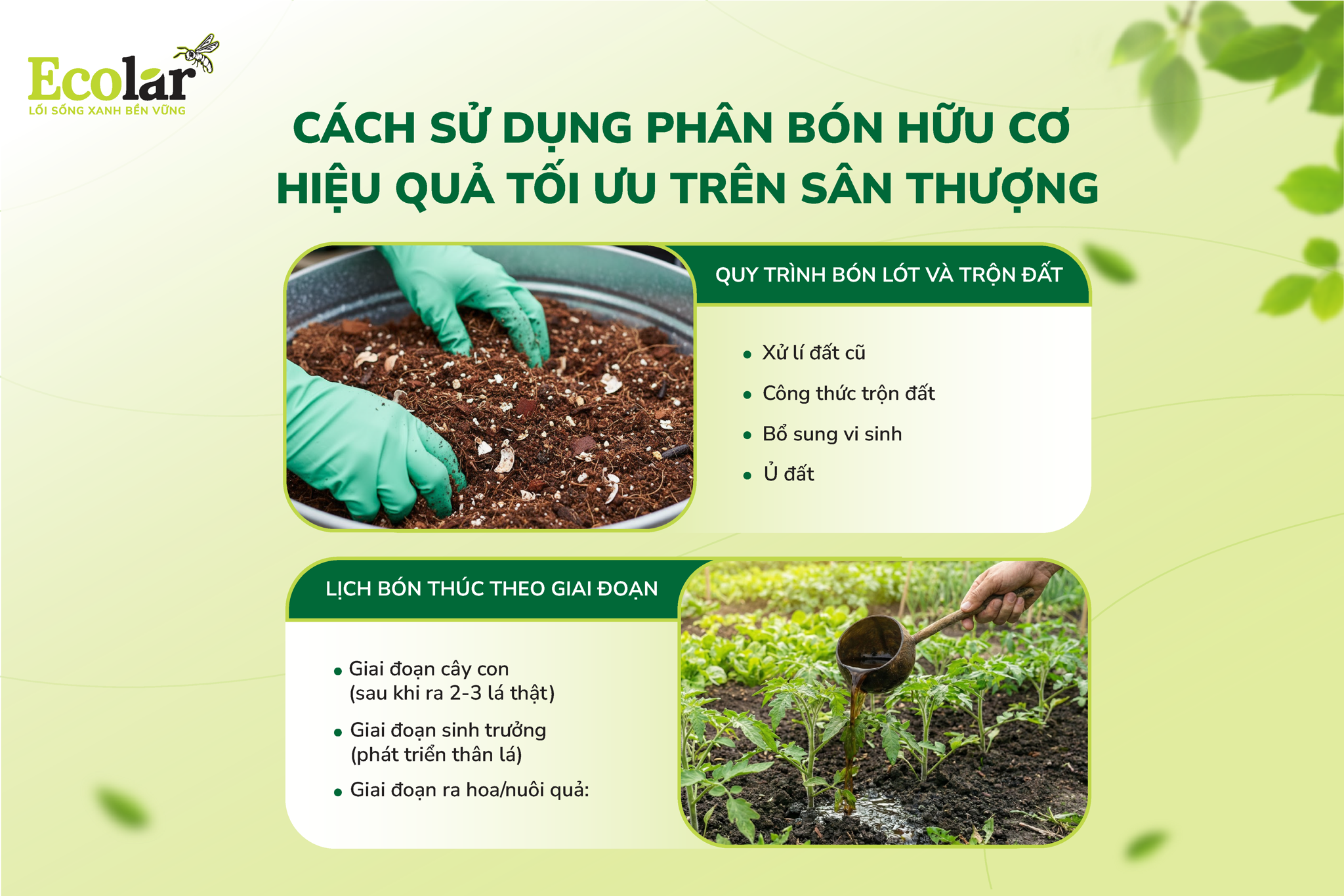 phân bón hữu cơ cho sân thượng