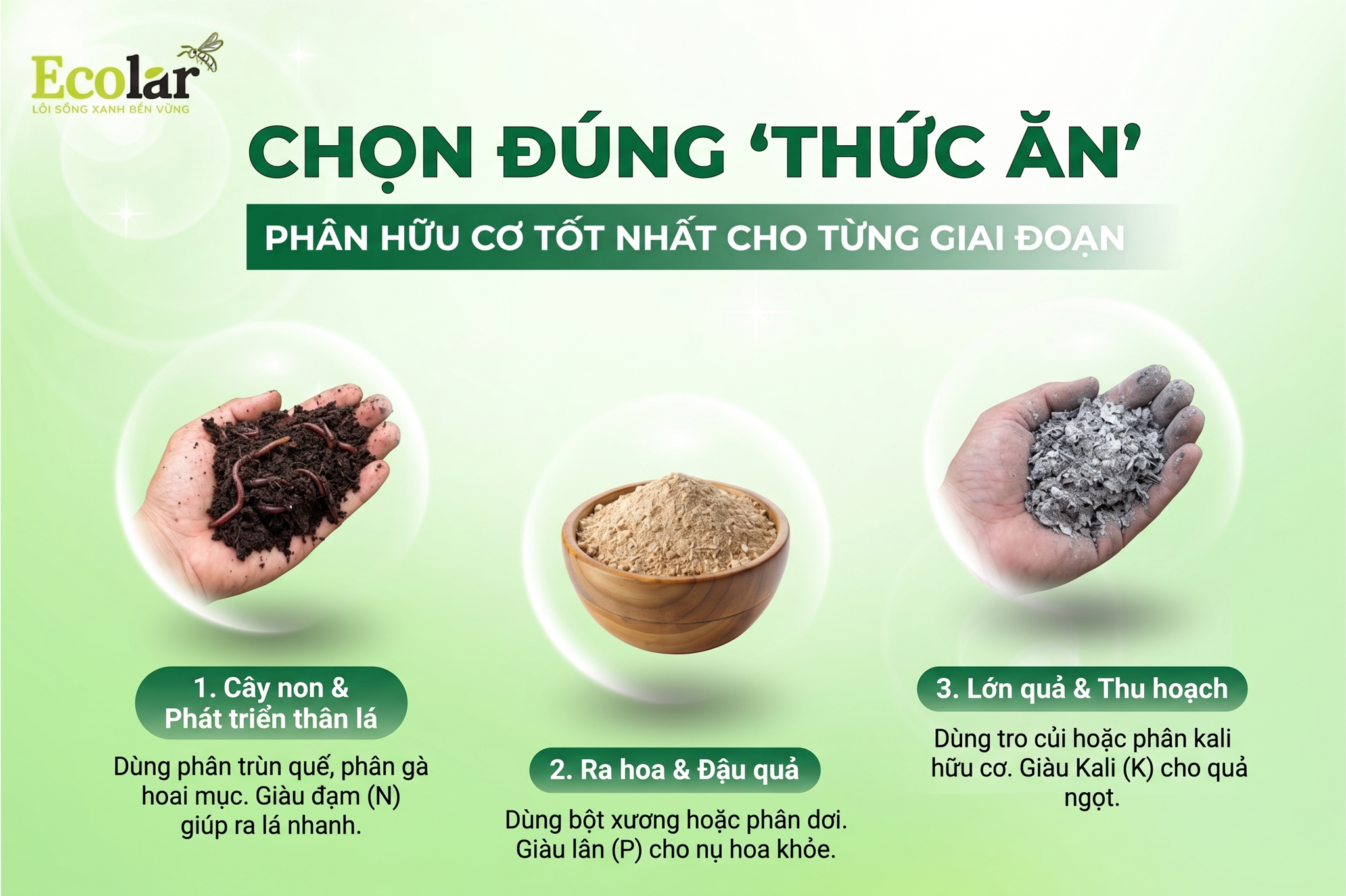 Loại Phân Hữu Cơ Nào Tốt Nhất Cho Từng Giai Đoạn?