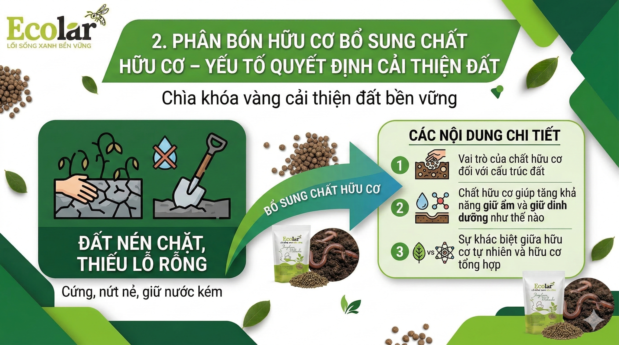 Phân bón hữu cơ bổ sung chất hữu cơ – yếu tố quyết định cải thiện đất