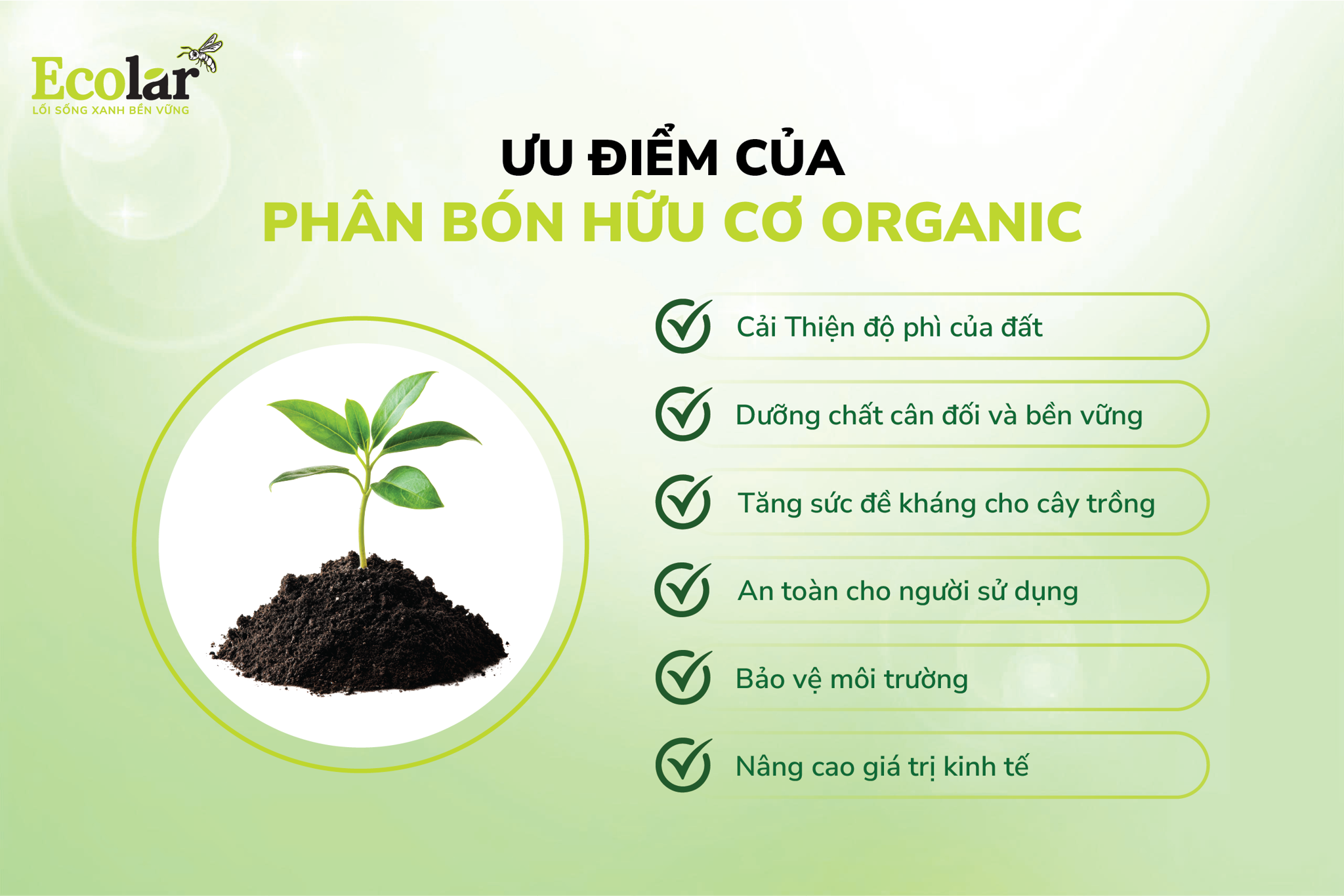 uu-diem-cua-phan-bon-huu-co-organic_8b40517b892d4cfe9252dff383059091.png