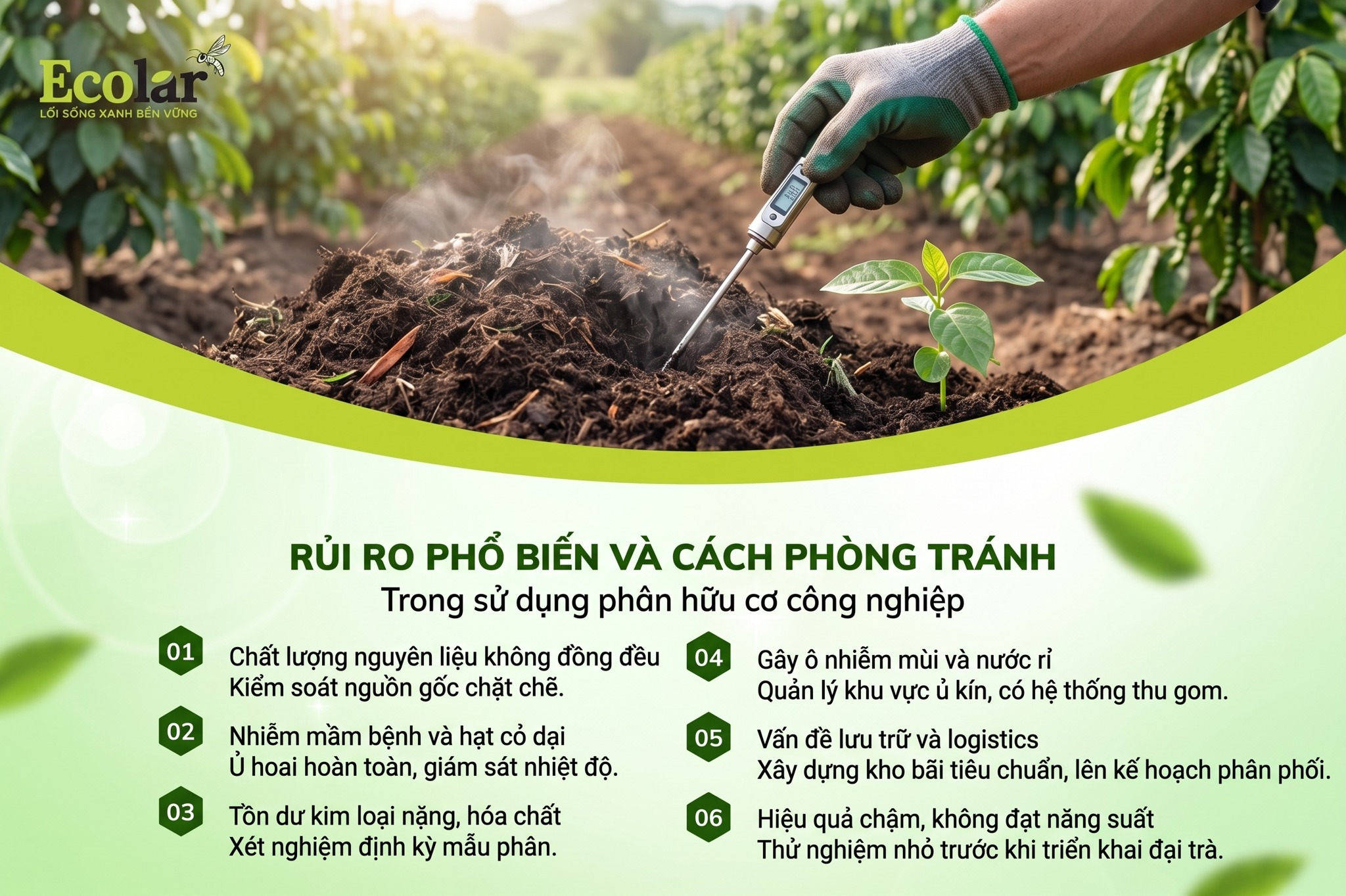 Rủi ro phổ biến khi triển khai phân hữu cơ ở quy mô công nghiệp và cách phòng tránh