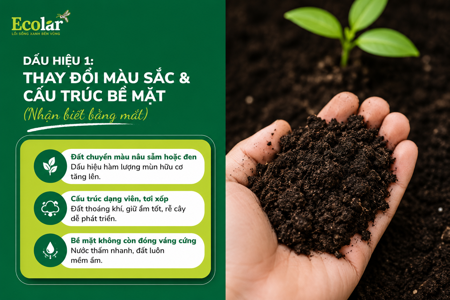 Dấu Hiệu 1: Thay Đổi Màu Sắc & Cấu Trúc Bề Mặt (Nhận biết bằng mắt)