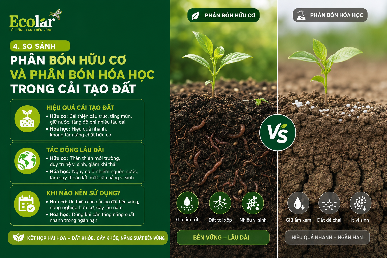 So Sánh Phân Bón Hữu Cơ Và Phân Bón Hóa Học Trong Cải Tạo Đất