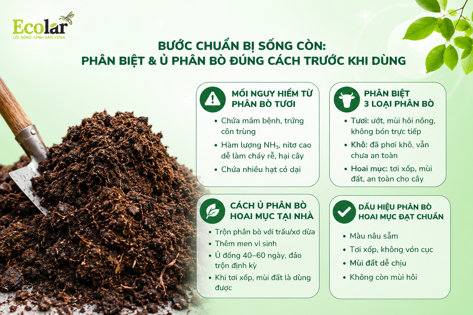 Bước Chuẩn Bị Sống Còn: Phân Biệt & Ủ Phân Bò Đúng Cách Trước Khi Dùng