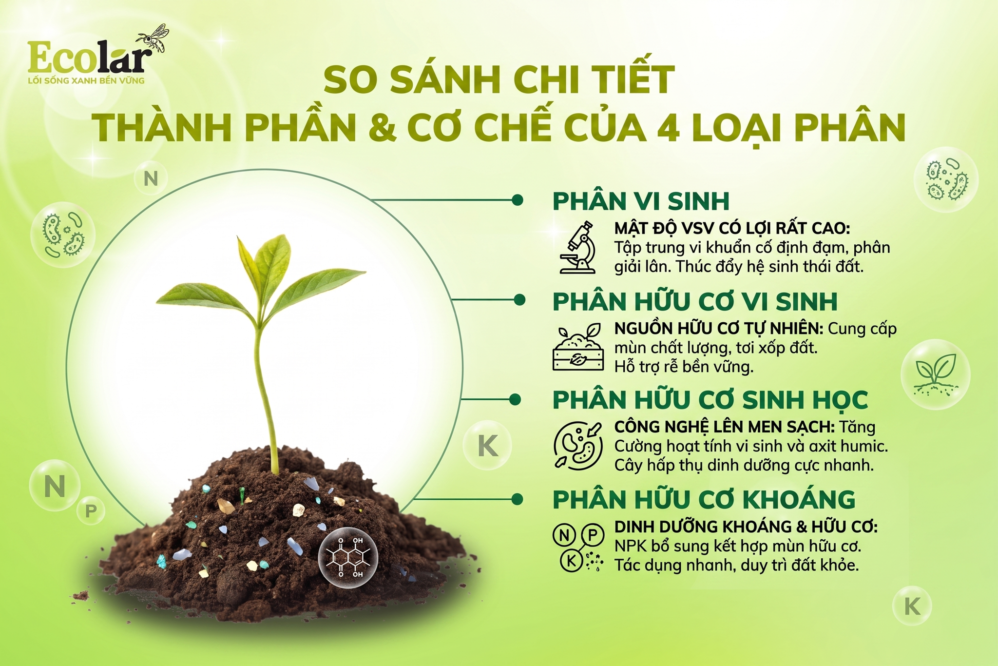 Thành phần và cơ chế: So sánh chi tiết về vật chất, dinh dưỡng và vi sinh vật