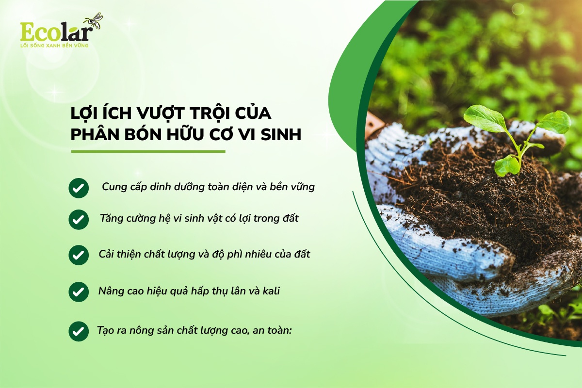 Giải pháp xanh giúp phục hồi đất và bảo vệ môi trường tự nhiên