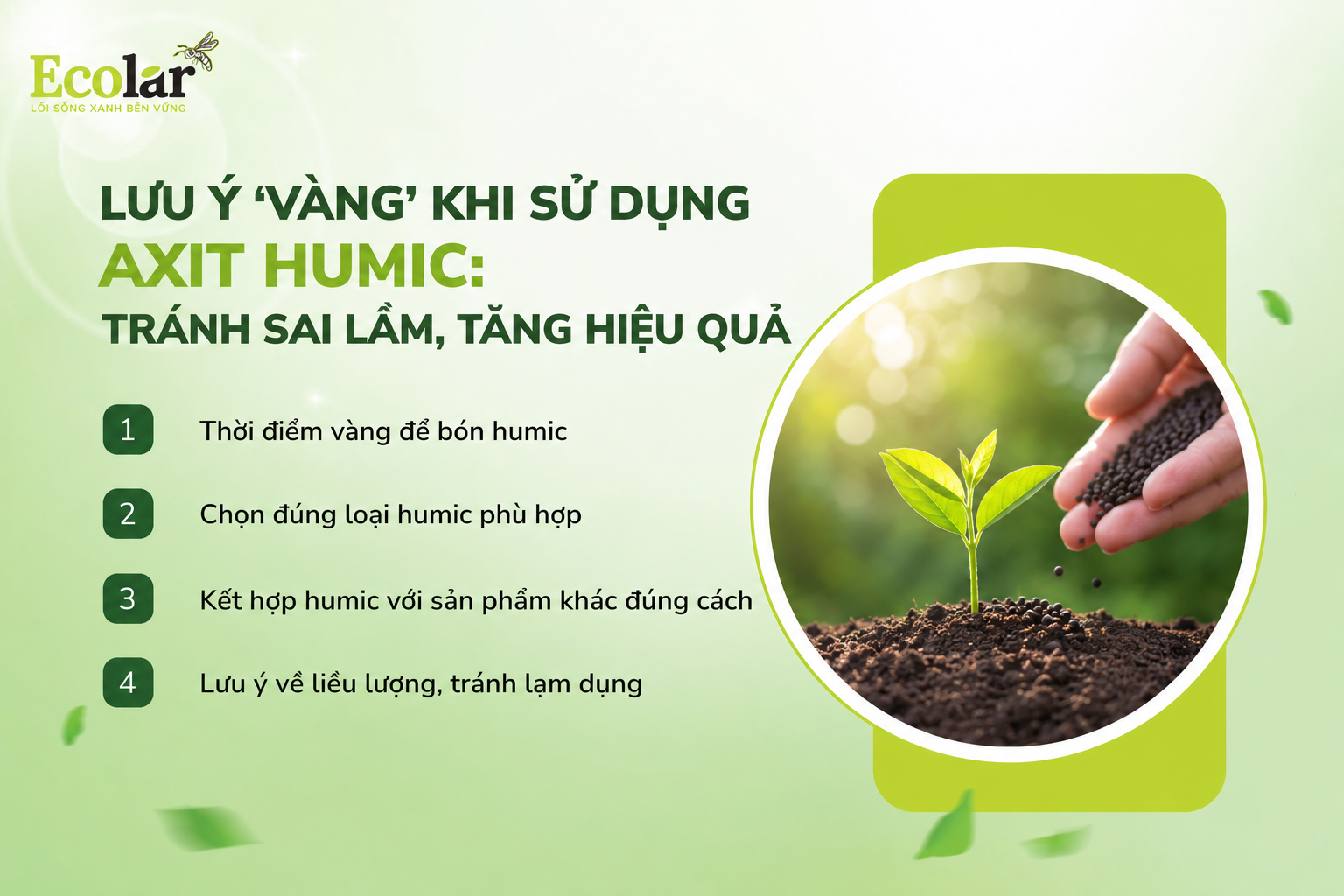 Lưu Ý 'Vàng' Khi Sử Dụng Axit Humic: Tránh Sai Lầm, Tăng Hiệu Quả