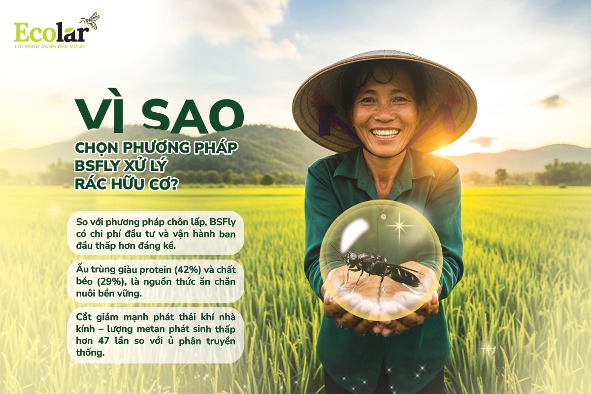 vi-sao-nen-chon-phuong-phap-xu-ly-rac-huu-co-bang-giai-phap-bsfly