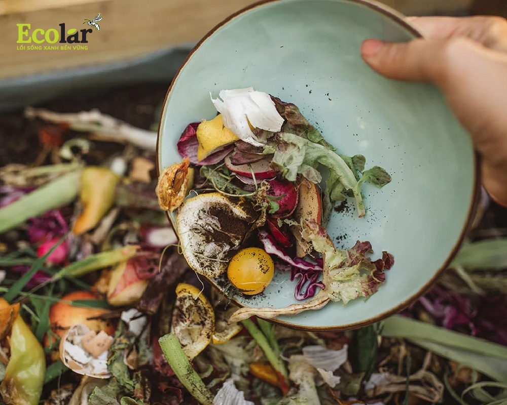 Ứng dụng của ruồi lính đen trong xử lý rác hữu cơ