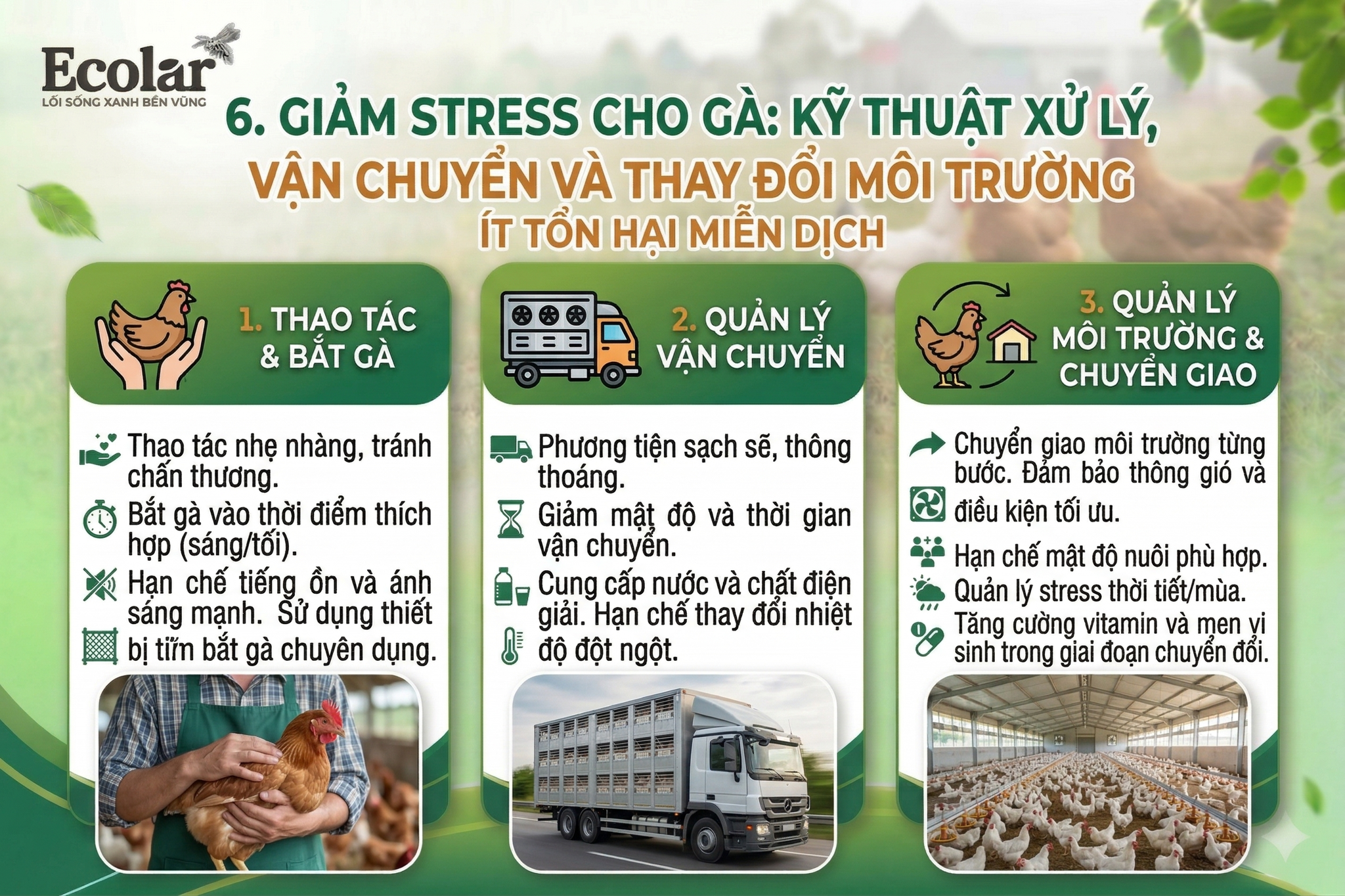 y-doi-moi-truong-it-ton-hai-mien-dich_7a888385351e48589ab25bd771722a2c.png