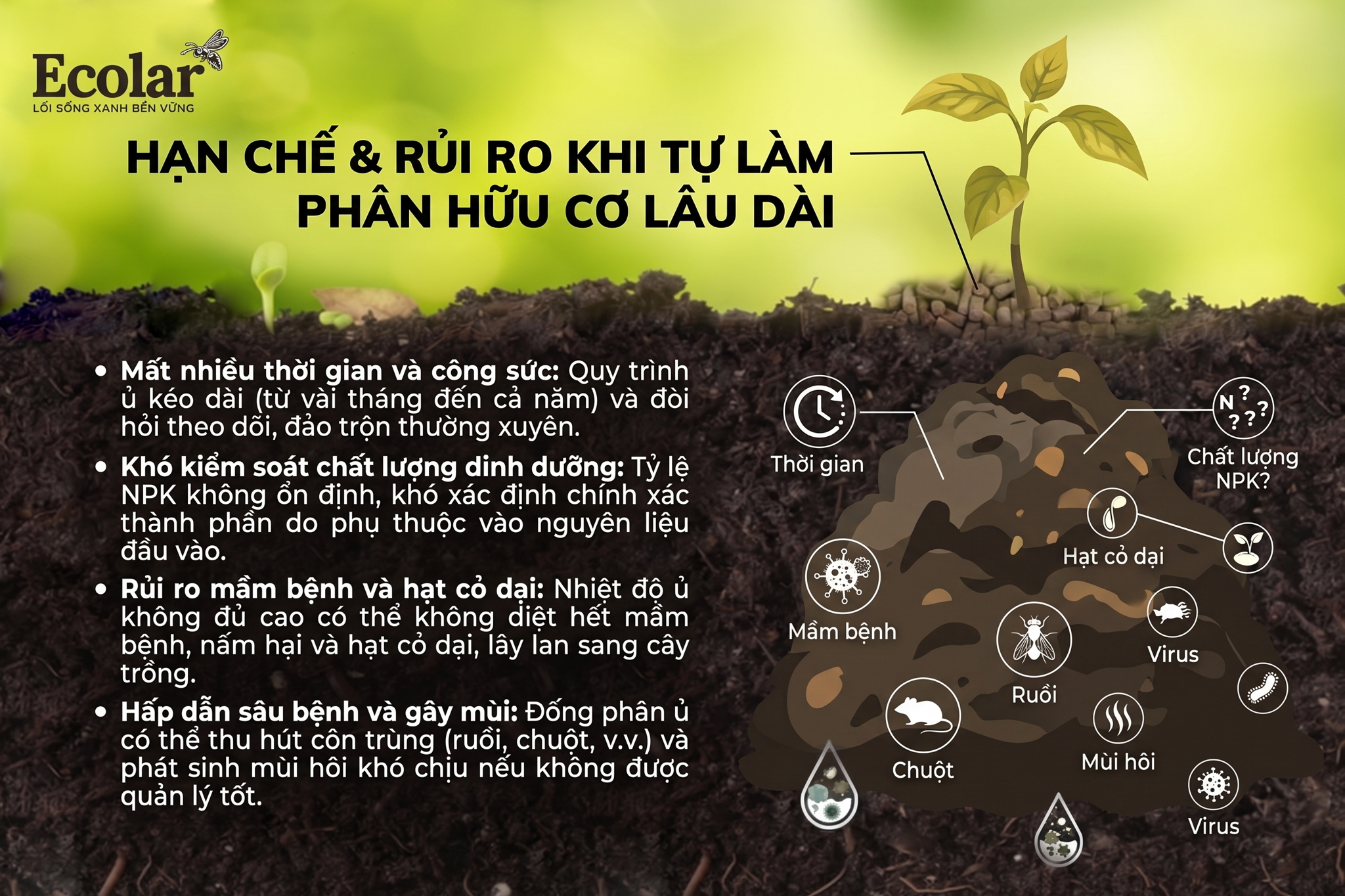 Hạn chế và rủi ro khi duy trì việc tự làm phân hữu cơ lâu dài
