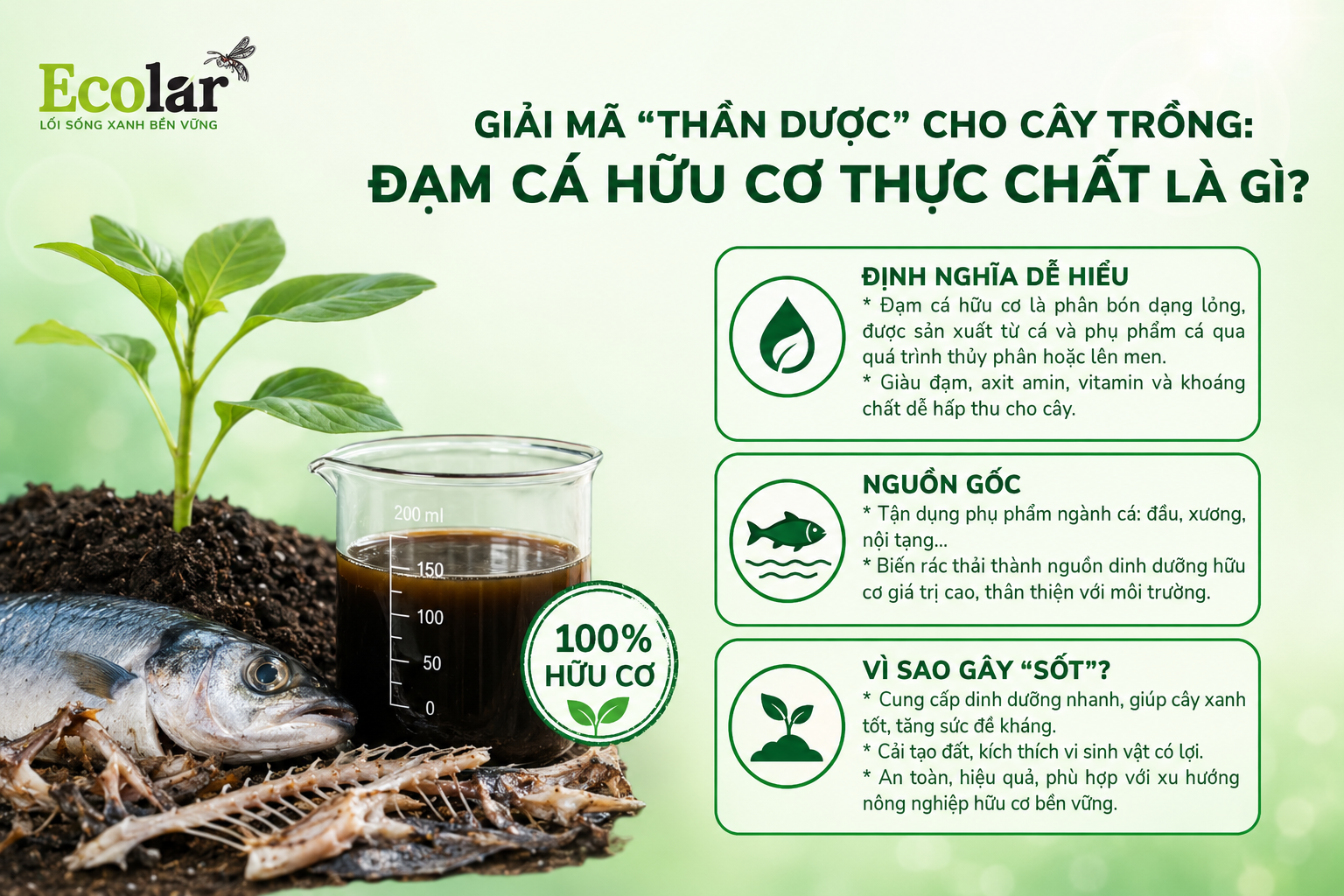 Giải Mã 'Thần Dược' Cho Cây Trồng: Đạm Cá Hữu Cơ Thực Chất Là Gì?