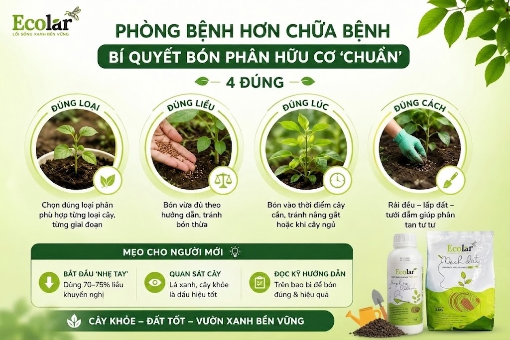 Phòng Bệnh Hơn Chữa Bệnh: Bí Quyết Bón Phân Hữu Cơ 'Chuẩn' Cho Lần Tới