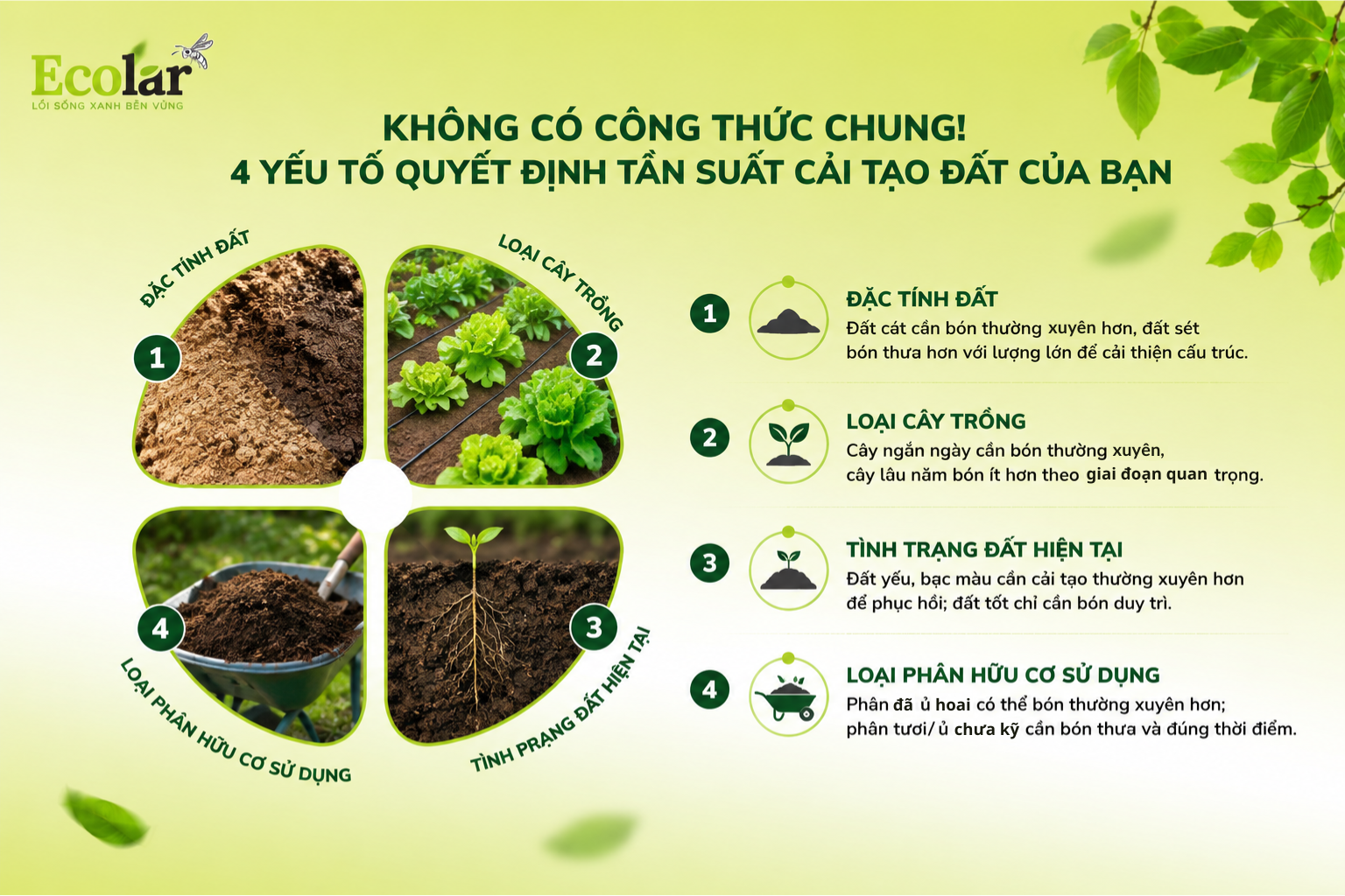 Không Có Công Thức Chung! 4 Yếu Tố Quyết Định Tần Suất Cải Tạo Đất Của Bạn