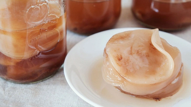 kombucha-la-gi