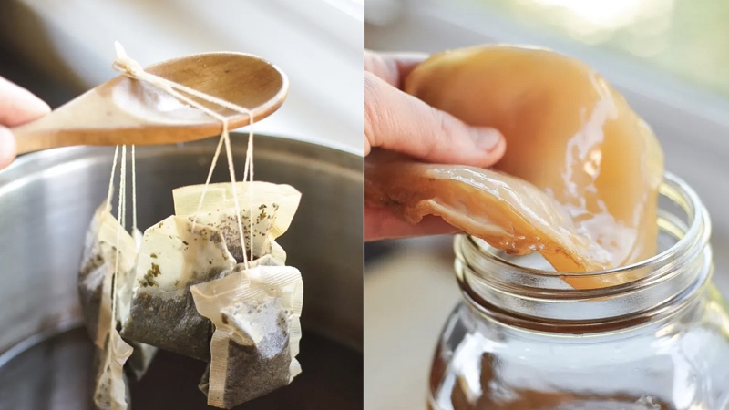kombucha-la-gi