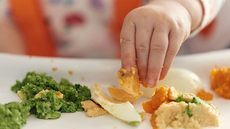 Ăn dặm từ 6 tháng tuổi giúp phát triển kỹ năng vận động và xử lý thức ăn