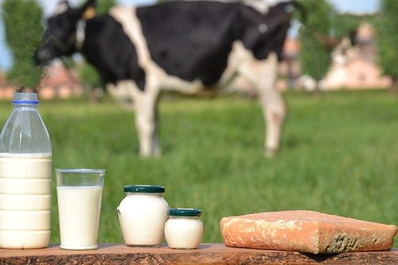 Tìm hiểu sữa tươi là gì