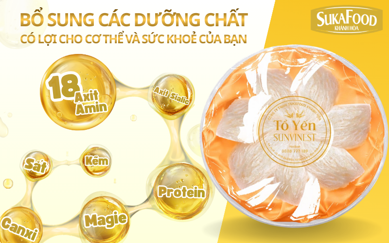 Công dụng của yến sào đối với sức khoẻ và thành phần của yến sào