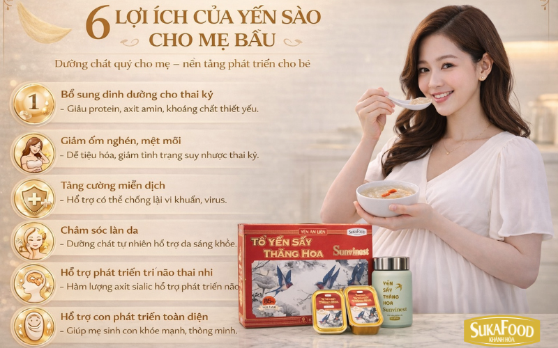 Công dụng của yến sào đối với mẹ bầu và thai nhi