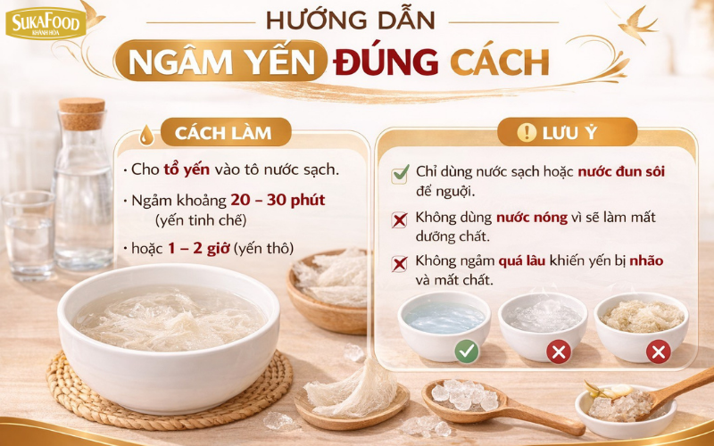 Hướng dẫn cách ngâm yến đúng cách