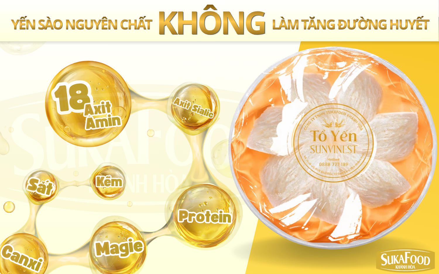 Thành phần có trong yến sào