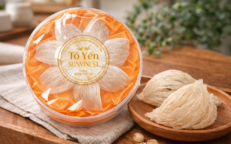 Yến sào là gì