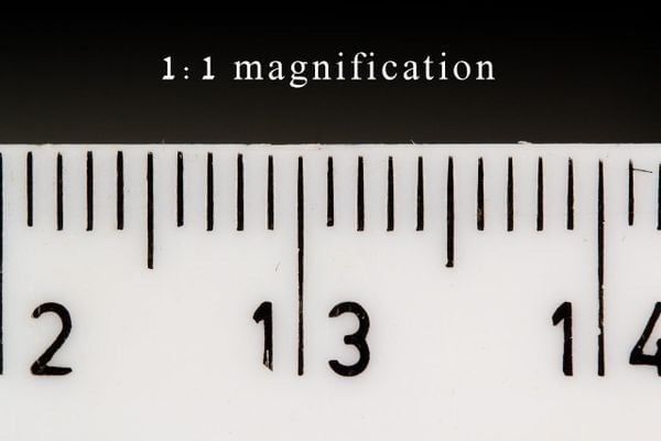 TỶ LỆ PHÓNG ĐẠI TỐI ĐA TRÊN ỐNG KÍNH LÀ GÌ? TÌM HIỂU MACRO VS. CLOSED